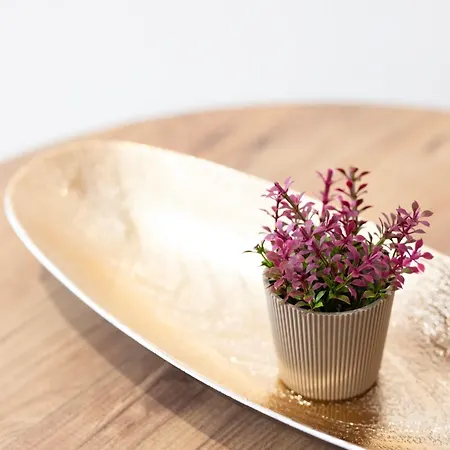 Apartmán Etheria Comfort House