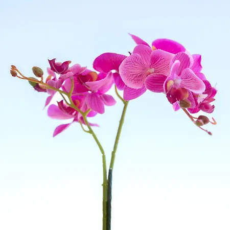 Etheria Comfort House Kos